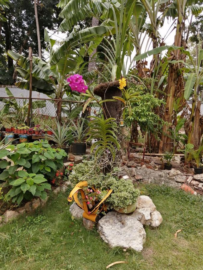 La famosa costillas a la leña Jarabacoa Exterior foto